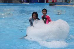 IMG 6352