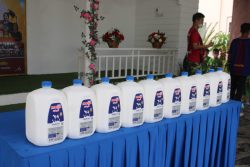 IMG 7768
