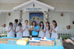 IMG 7896