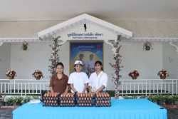 IMG 7804