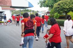 AOR07156