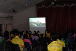 IMG 4354