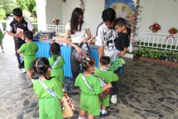 IMG 4526