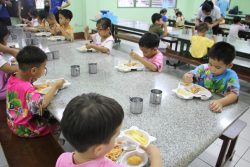 IMG 4225