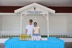IMG 8838
