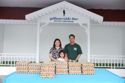 IMG 7967