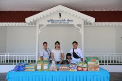 IMG 8992