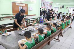 IMG 8795