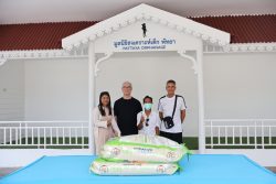 IMG 9974