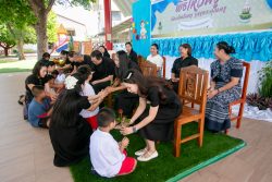 IMG 7795
