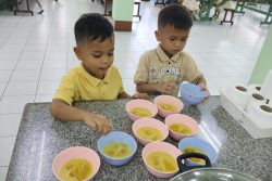 IMG 0263
