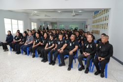 HOR01414