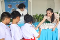 IMG 1956