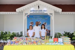 IMG 4264
