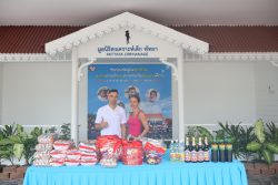 IMG 4471
