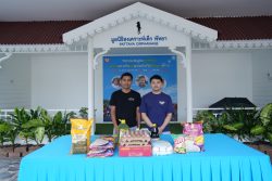 HOR07205