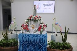 IMG 4896
