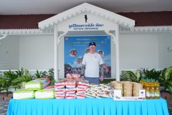HOR07706